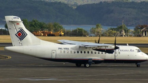 Indonésie: L'épave de l'avion disparu aurait été retrouvée en Papouasie - ảnh 1